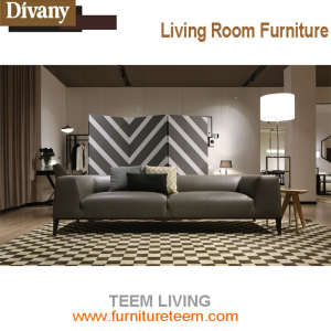 Teem Leather Design Furniture Hotel Sofa